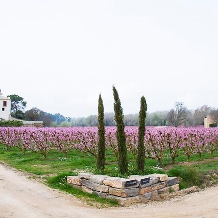 Hotel Rural Mas De L'Illa Tivissa Bagian luar foto