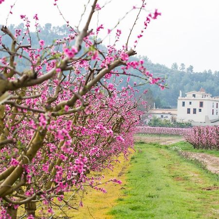 Hotel Rural Mas De L'Illa Tivissa Bagian luar foto