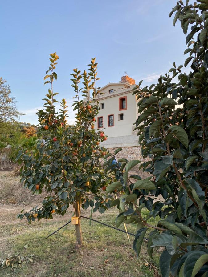 Hotel Rural Mas De L'Illa Tivissa Bagian luar foto