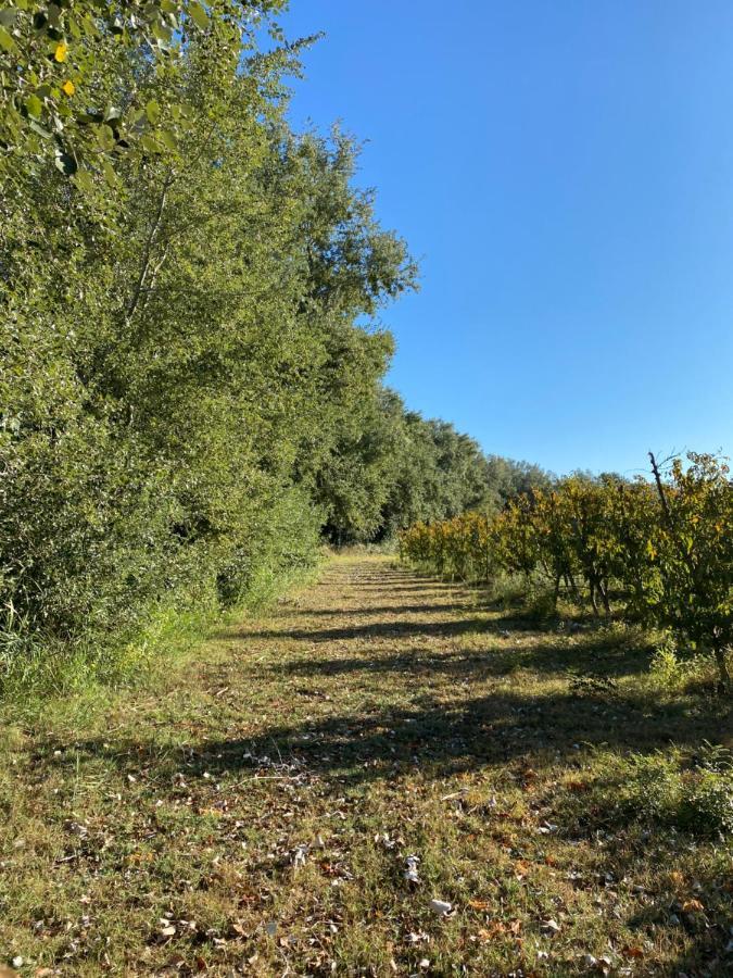 Hotel Rural Mas De L'Illa Tivissa Bagian luar foto