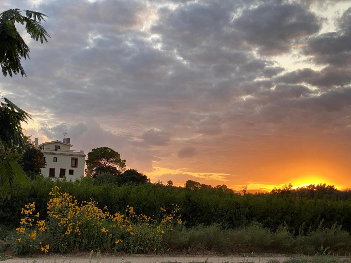 Hotel Rural Mas De L'Illa Tivissa Bagian luar foto