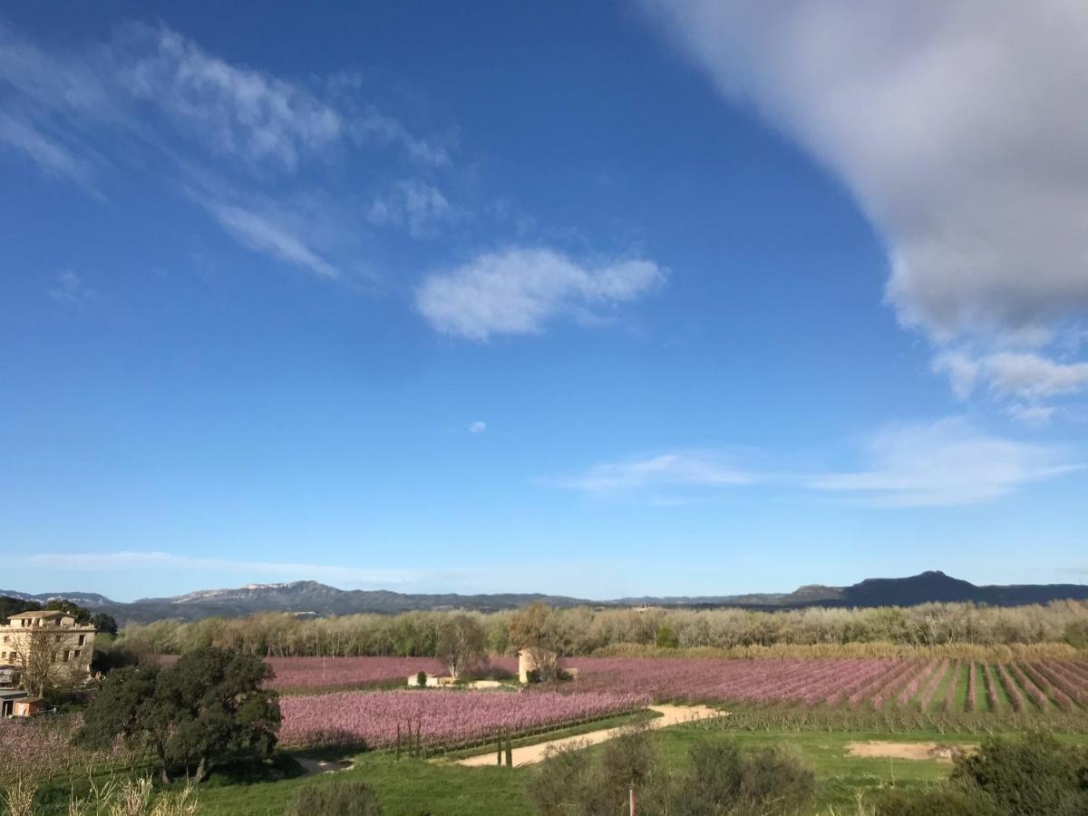 Hotel Rural Mas De L'Illa Tivissa Bagian luar foto