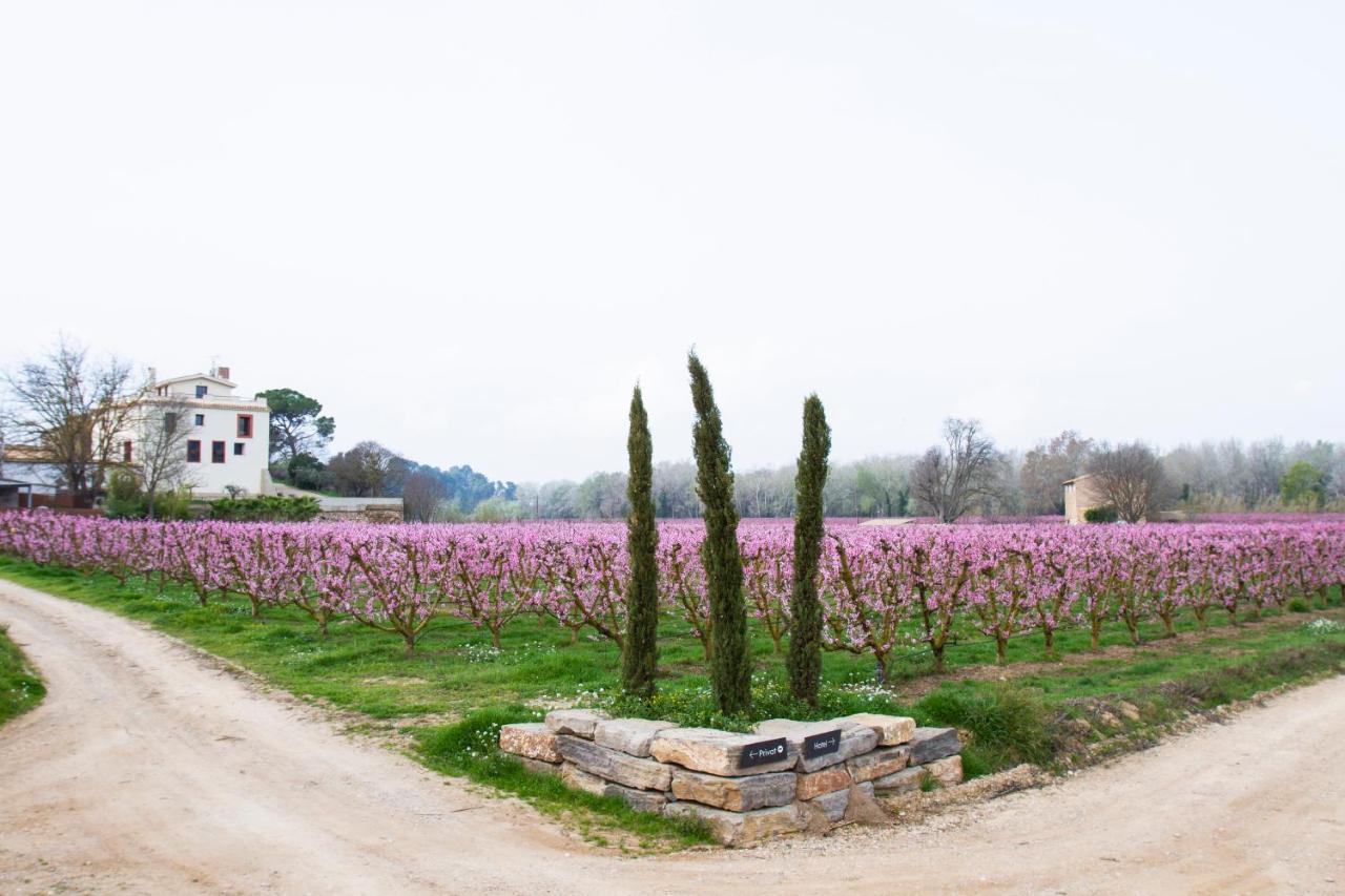 Hotel Rural Mas De L'Illa Tivissa Bagian luar foto
