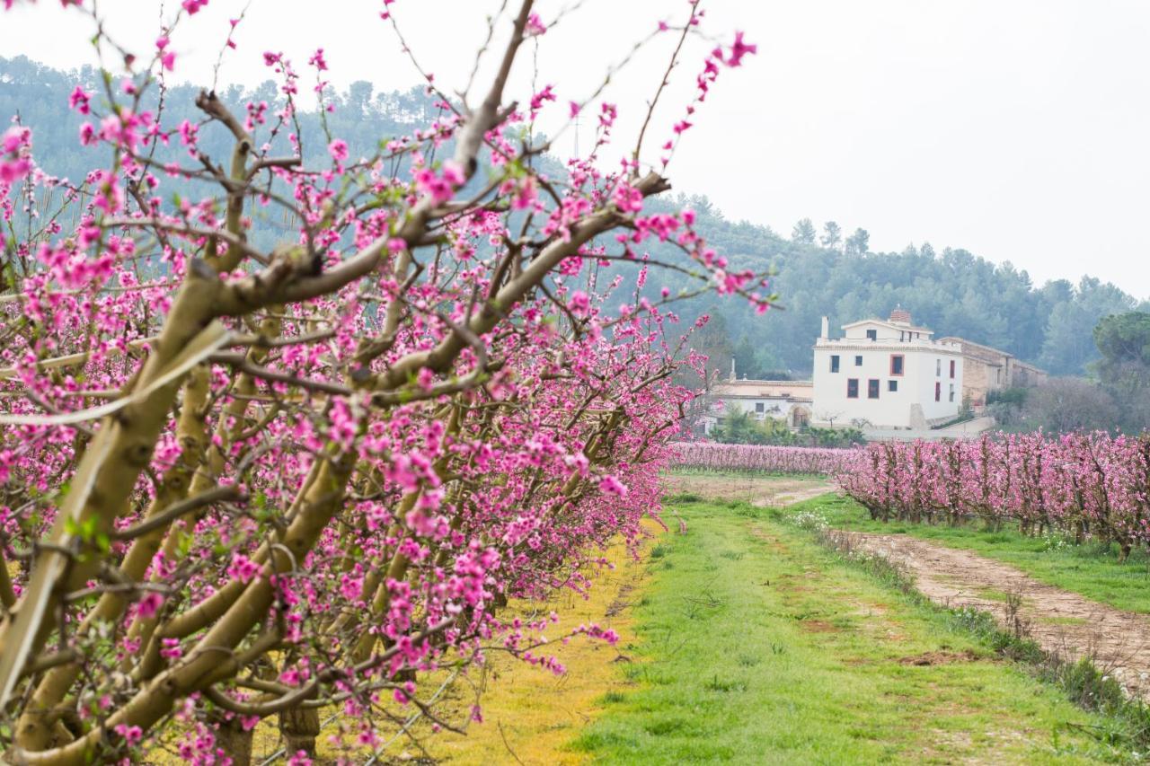 Hotel Rural Mas De L'Illa Tivissa Bagian luar foto
